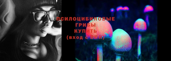 круглые Алзамай
